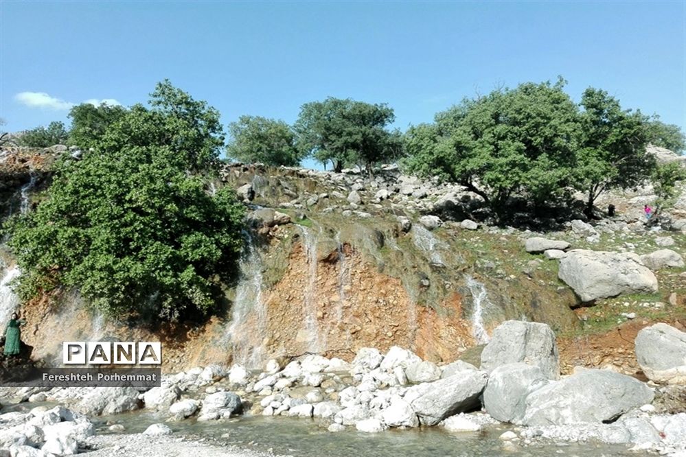 احیای دوباره چهل چشمه در فارس