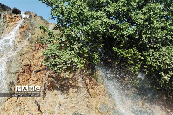 احیای دوباره چهل چشمه در فارس