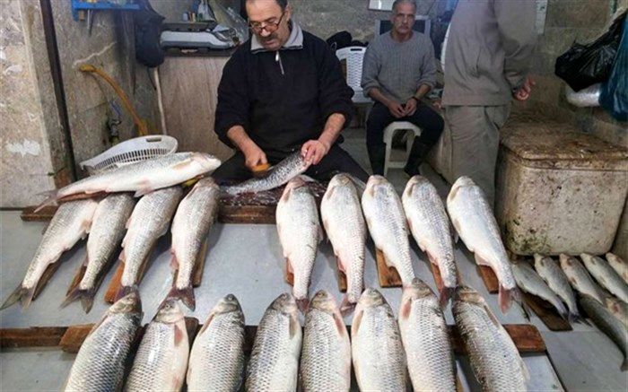 برآورد تولید ۴۵۵ هزار تن انواع آبزیان در سال جاری