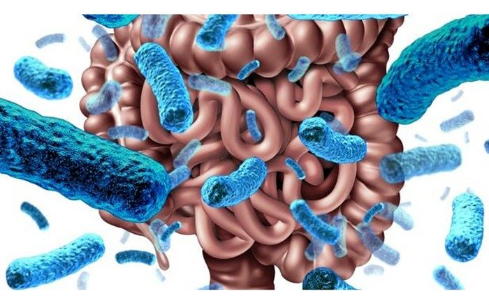 کاهش اضطراب با تغییر باکتری‌های روده