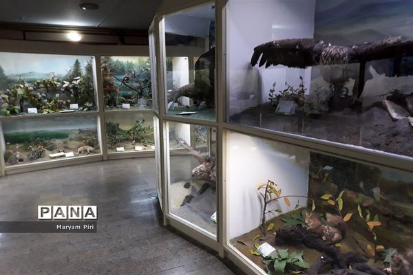 موزه تاریخ طبیعی همدان