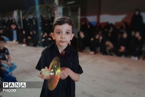 از کربلا تا ایران؛ عزاداران حسینی با پرچم ایران، پیام وحدت و استقامت را فریاد زدند