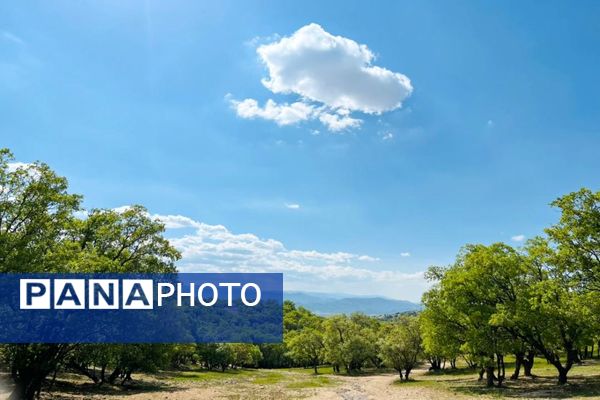 جلوه‌های بهاری طبیعت یاسوج