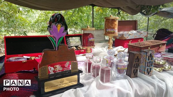 سلسله، میزبان جشنواره تخصصی گردو شد