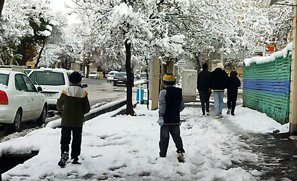 درختان طلایی ، سفید پوش شدند 