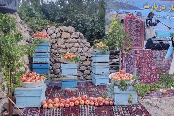 سومین جشنواره انار در دزپارت جشن رنگ و طعم در زاگرس