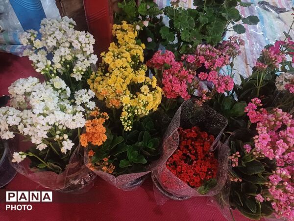 نمایشگاه گل و گیاه و سوغات در همدان
