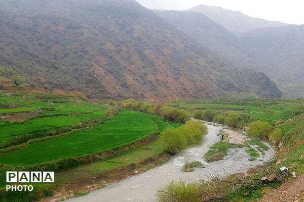 طبیعت دِراز‌رود؛ زیباترین تابلوی سبز لردگان
