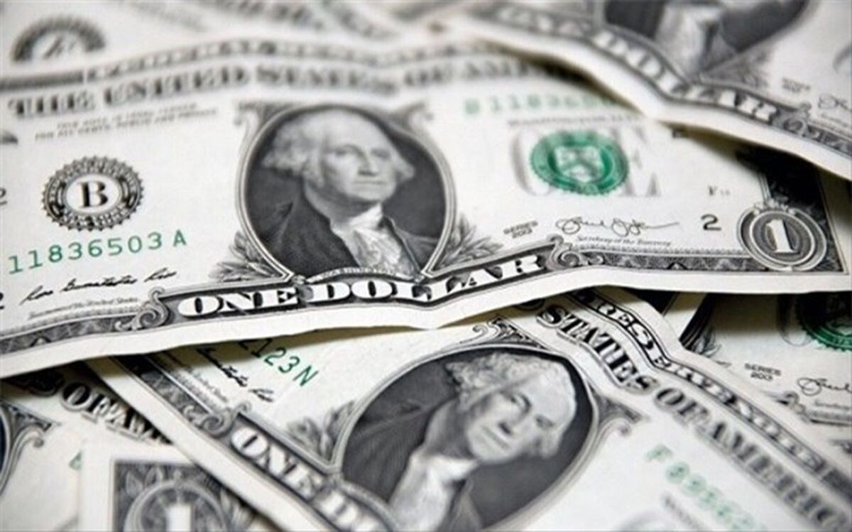 حذف دلار ۴۲۰۰ تومانی قیمت کالاها را بالا نبرد