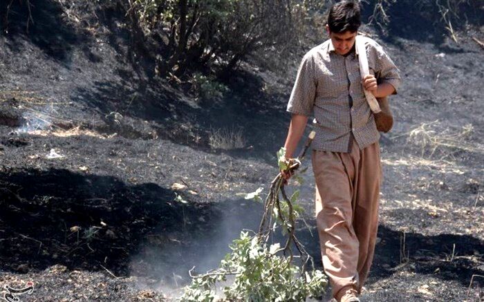 آتش گرفتن  روزانه جنگل‌ها و مزارع ایلام