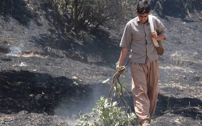 آتش گرفتن  روزانه جنگل‌ها و مزارع ایلام