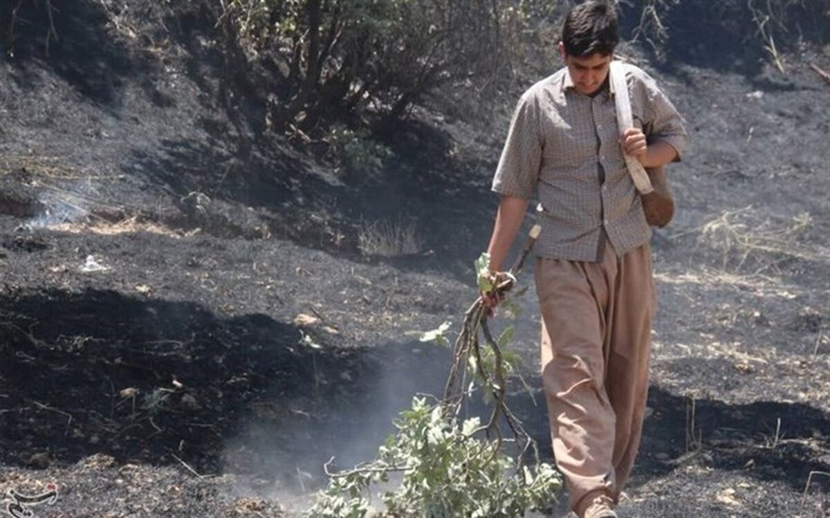 آتش گرفتن  روزانه جنگل‌ها و مزارع ایلام
