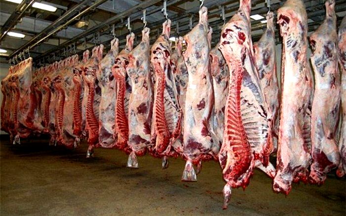 معاون عمرانی استاندار آذربایجان شرقی: کشتار دام بدون مجوز جرم است