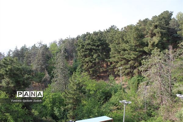 پارک آب و آتش تهران