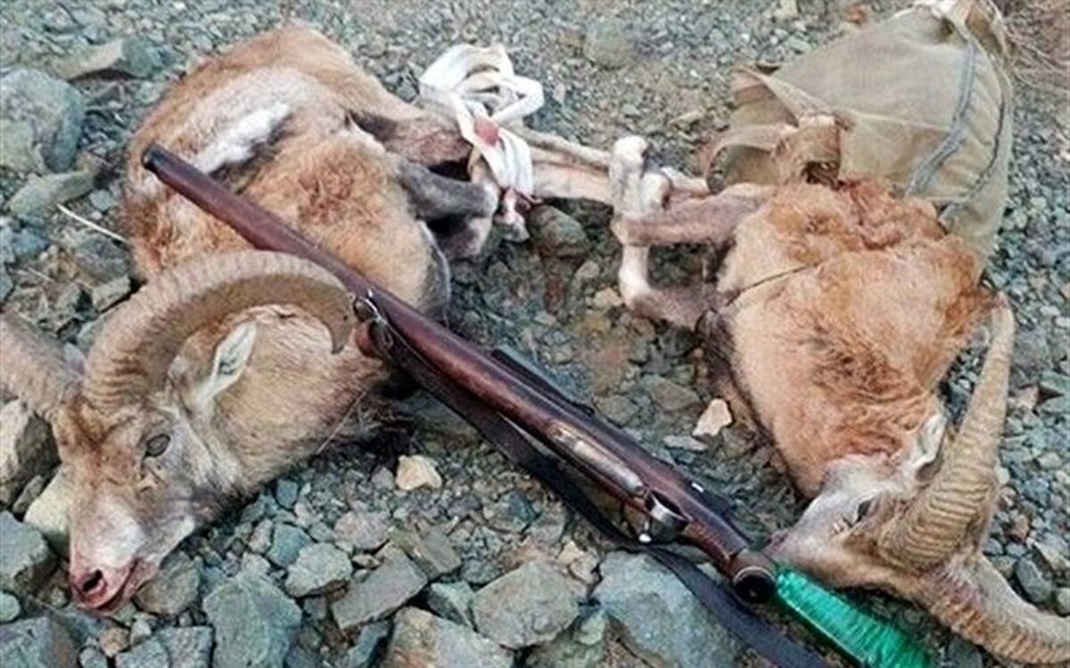 دستگیری ۶۲ شکارچی متخلف در پیرانشهر