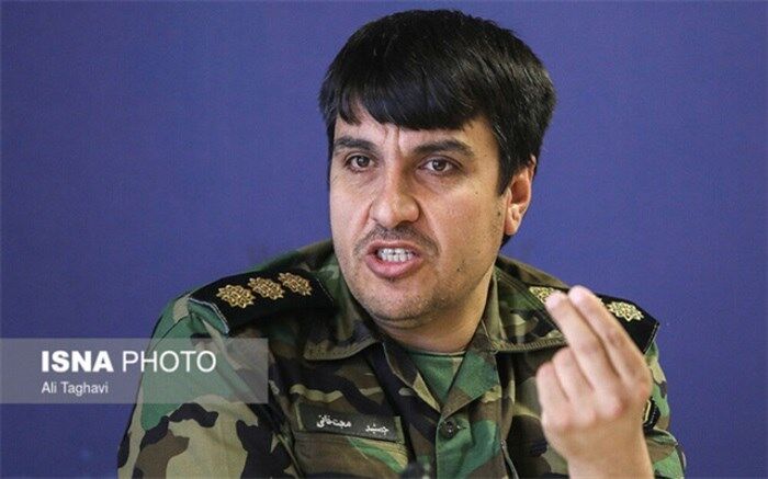 آتش‌سوزی‌های عمدی محیط‌زیست؛ از زغال تا سنجاب