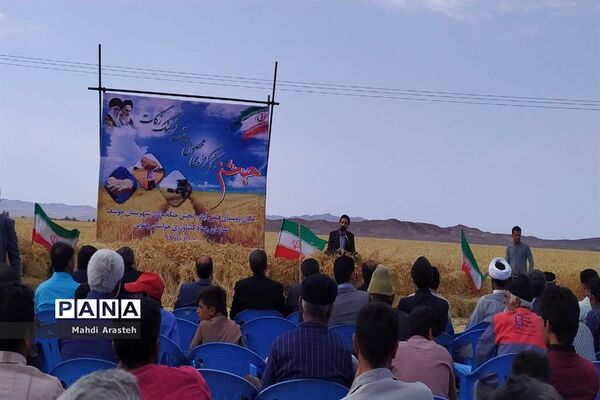 برگزاری جشن شکرگزاری برداشت گندم در روستای فیض آباد ،جلگه ماژان شهرستان خوسف