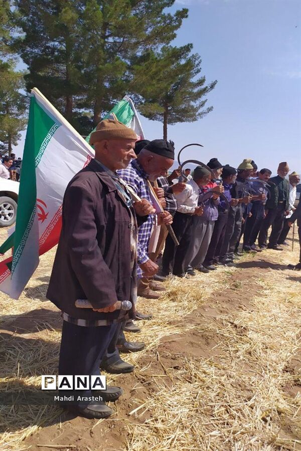 برگزاری جشن شکرگزاری برداشت گندم در روستای فیض آباد ،جلگه ماژان شهرستان خوسف