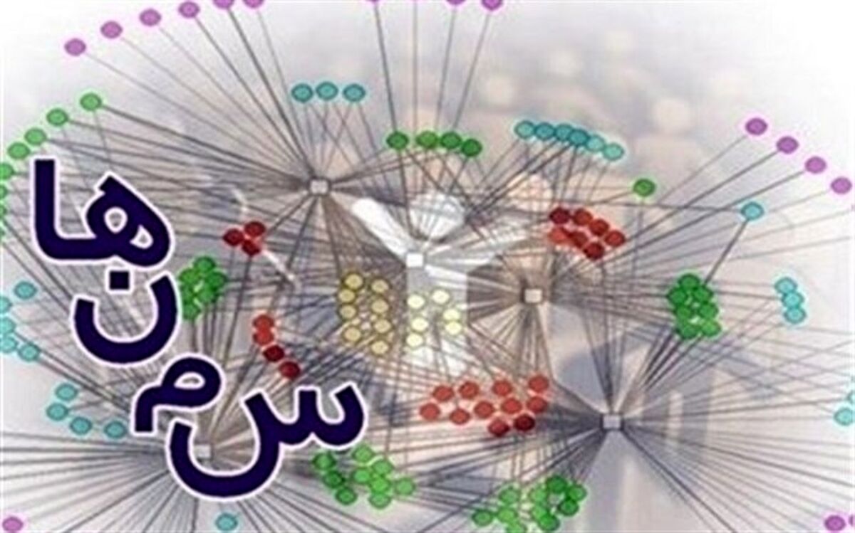 41 سمن در حوزه جوانان در استان قم فعال هستند