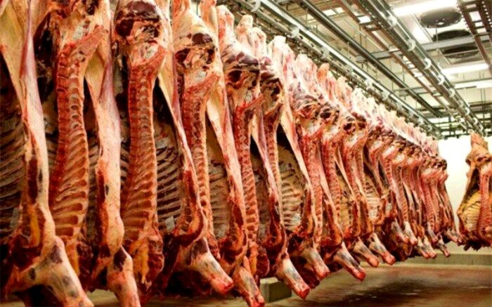 افزایش واردات گوشت قرمز باوجود حذف دلار ۴۲۰۰ تومانی