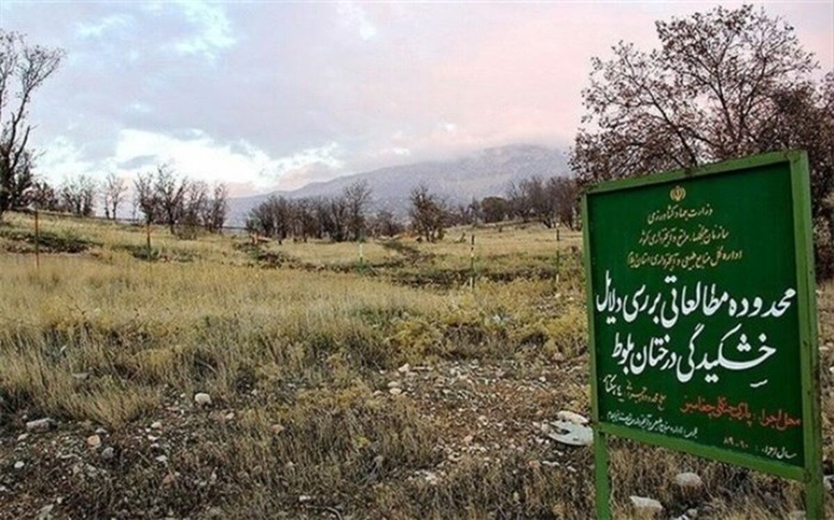 ‌جنگل‌های انبوه غرب ایران هم در حال بیابان شدن هستند