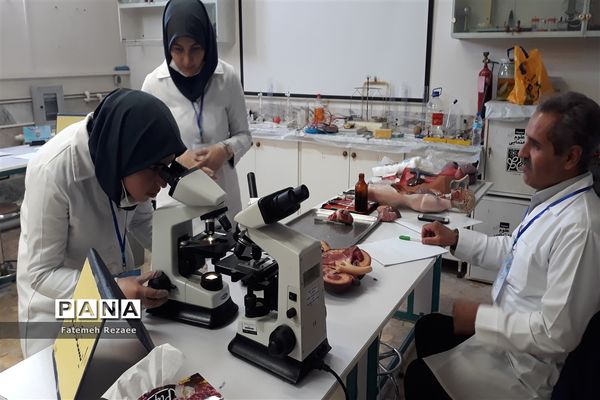 برگزاری مسابقات خوارزمی استان زنجان