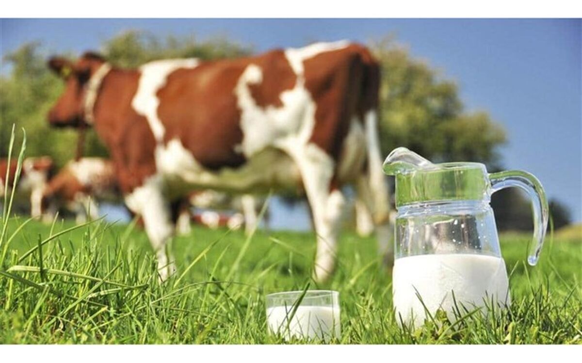 آخرین اخبار از قیمت لبنیات در آذربایجان غربی