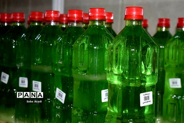 فصل تابستان و رونق عرق گیری در شیراز