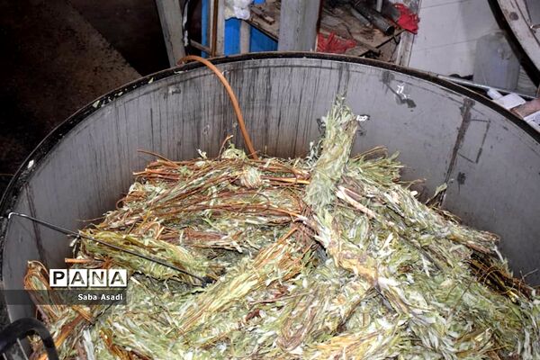 فصل تابستان و رونق عرق گیری در شیراز