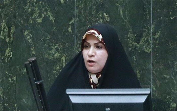 دولت با اختصاص ۱۴ میلیارد دلار فشار اقتصادی بر خانوارها را کاهش دهد