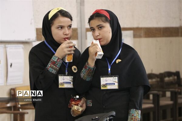 - دومین دوره مسابقات ملی بازی‌های فکری، سرگرمی دانش‌آموزی رویش