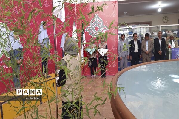 برگزاری دومین دوره المپیاد کشوری بازی‌های فکری، سرگرمی در شیراز