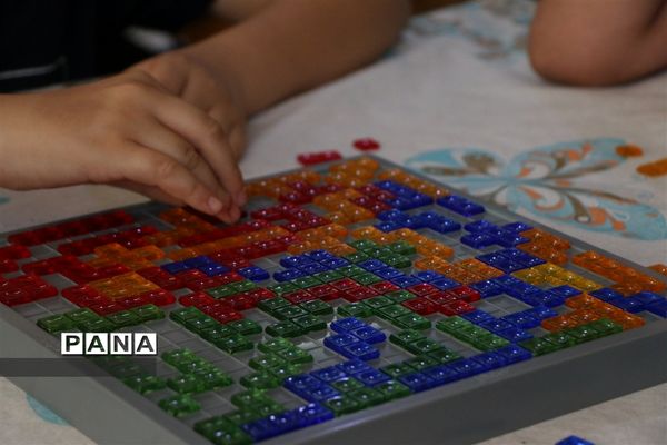 دومین دوره المپیاد کشوری بازی های فکری سرگرمی دانش‌آموزان پسر در شیراز