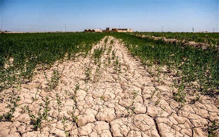 انتقال خاک به خارج از کشور ممنوع شد