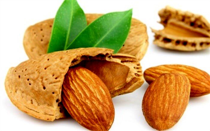 بادام مزیت مهم صادراتی چهارمحال و بختیاری