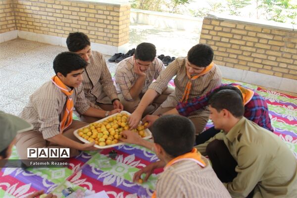 برگزاری پیش اردوی ملی دانش‌آموزان پیشتاز پسر استان زنجان