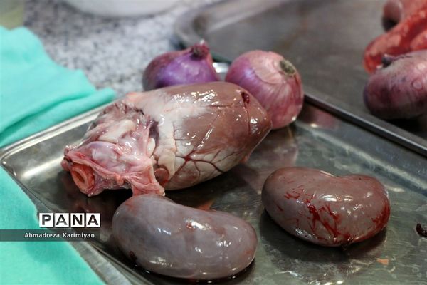 برگزاری مرحله استانی پنجمین جشنواره نوجوان خوارزمی در شیراز