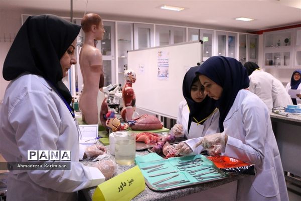 برگزاری مرحله استانی پنجمین جشنواره نوجوان خوارزمی در شیراز