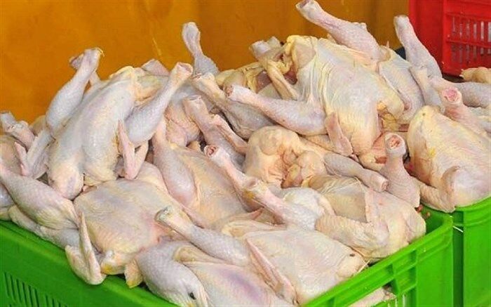 هیچ کمبودی در تامین مرغ در آذربایجان غربی وجود ندارد