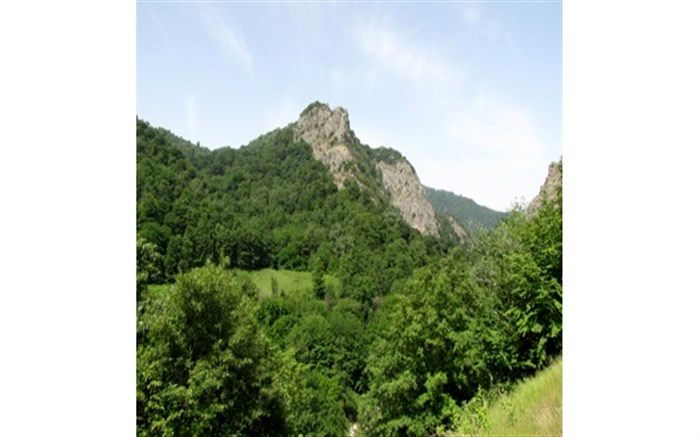 پرونده جنگل‌های هیرکانی مستقلاً با نام ایران در اجلاس یونسکو بررسی می‌شود