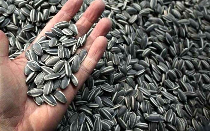 40 درصد تخمه کشور در آذربایجان غربی تولید می‌شود