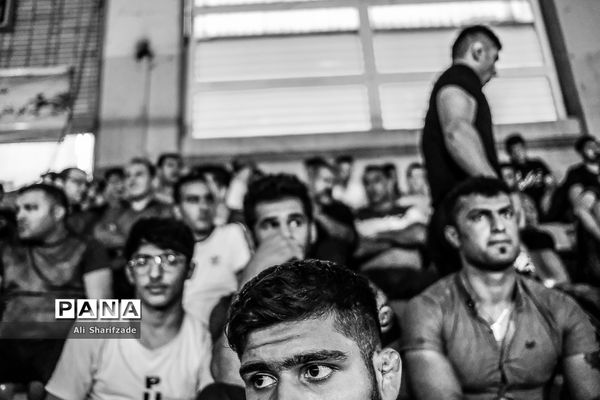 رقابت های انتخابی تیم ملی کشتی فرنگی امید