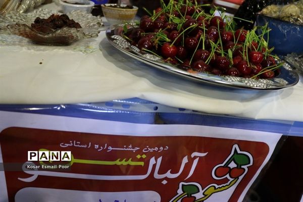 برداشت آلبالو در شهرستان تسوج