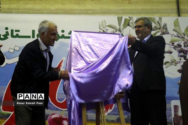 دومین جشنواره آلبالو در تسوج