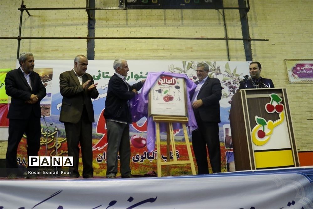 دومین جشنواره آلبالو در تسوج