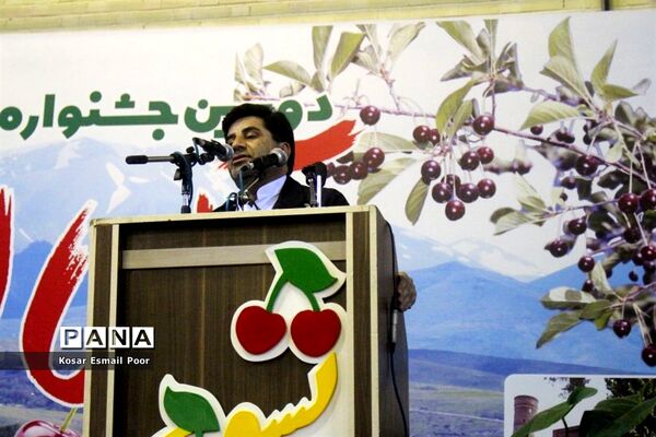 دومین جشنواره آلبالو در تسوج
