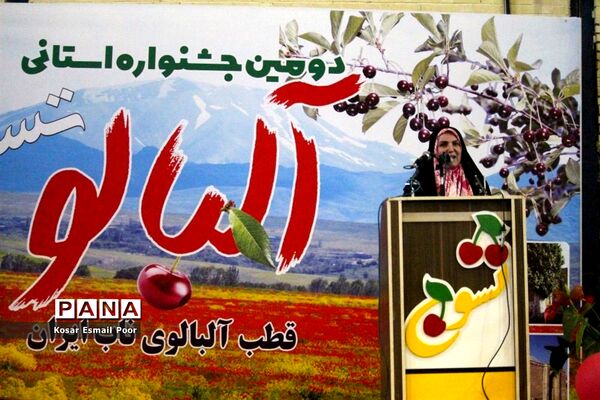 دومین جشنواره آلبالو در تسوج