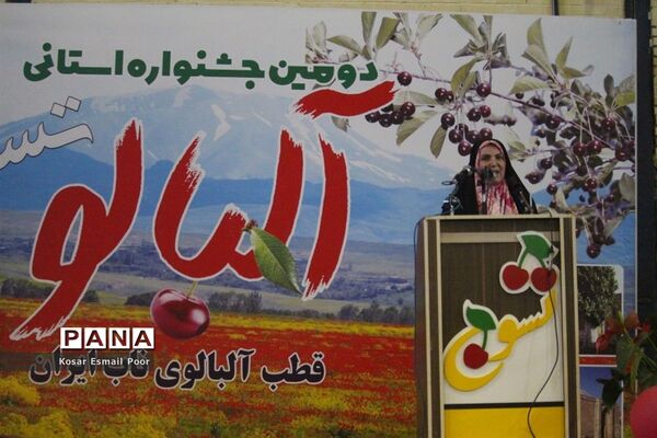 دومین جشنواره آلبالو در تسوج