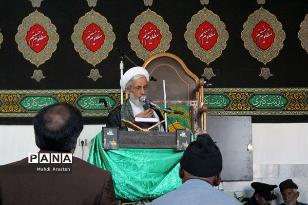 شهرستان قاین با حضور خدام رضوی عطر آگین شد