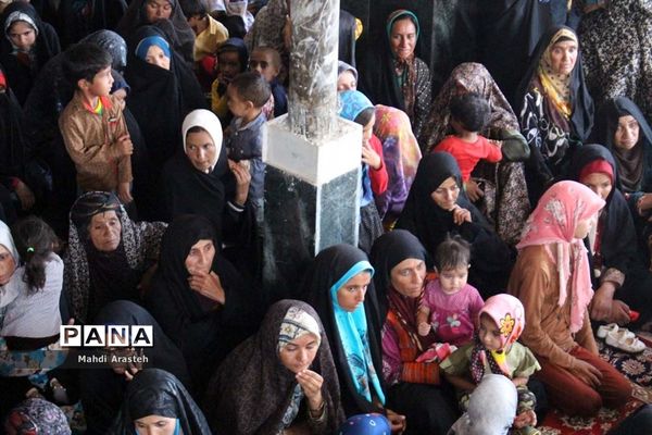 کاروان زیرسایه خورشید خراسان جنوبی در آخرین روز سفرخود به شهرستان سربیشه رسید